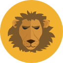 Lion dark